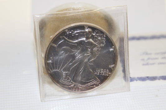 1989 Silver American Eagle proof coin in plastic holder, obverse view