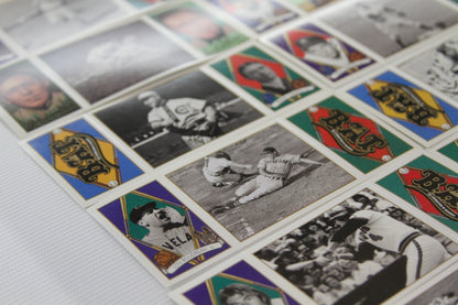 Detailed angle of black-and-white action photo cards and colorful logo cards from uncut sheet
